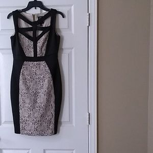 Black, Tan, & Gold Lace Dress